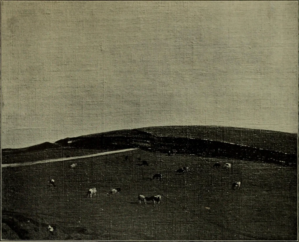 An illustration from International studio, 1897, leaf 304