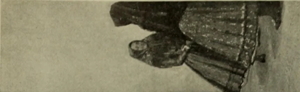 An illustration from International studio, 1897, leaf 320