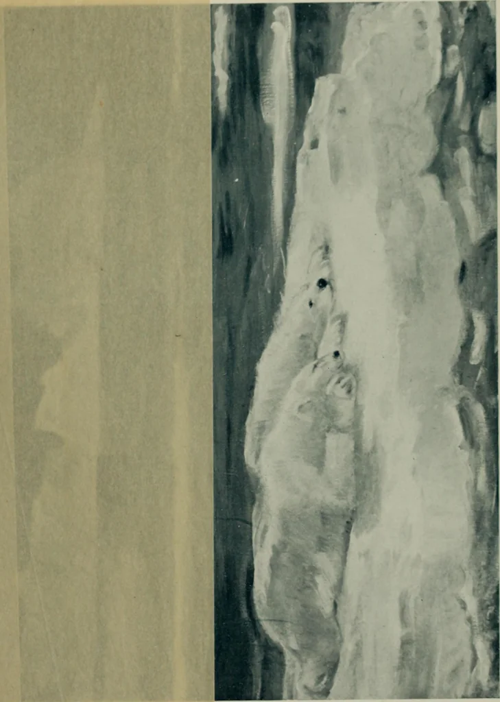 An illustration from International studio, 1897, leaf 34