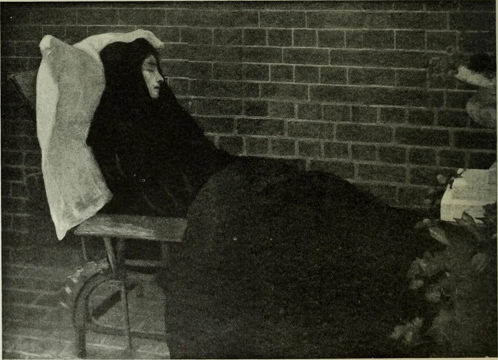 An illustration from International studio, 1897, leaf 367