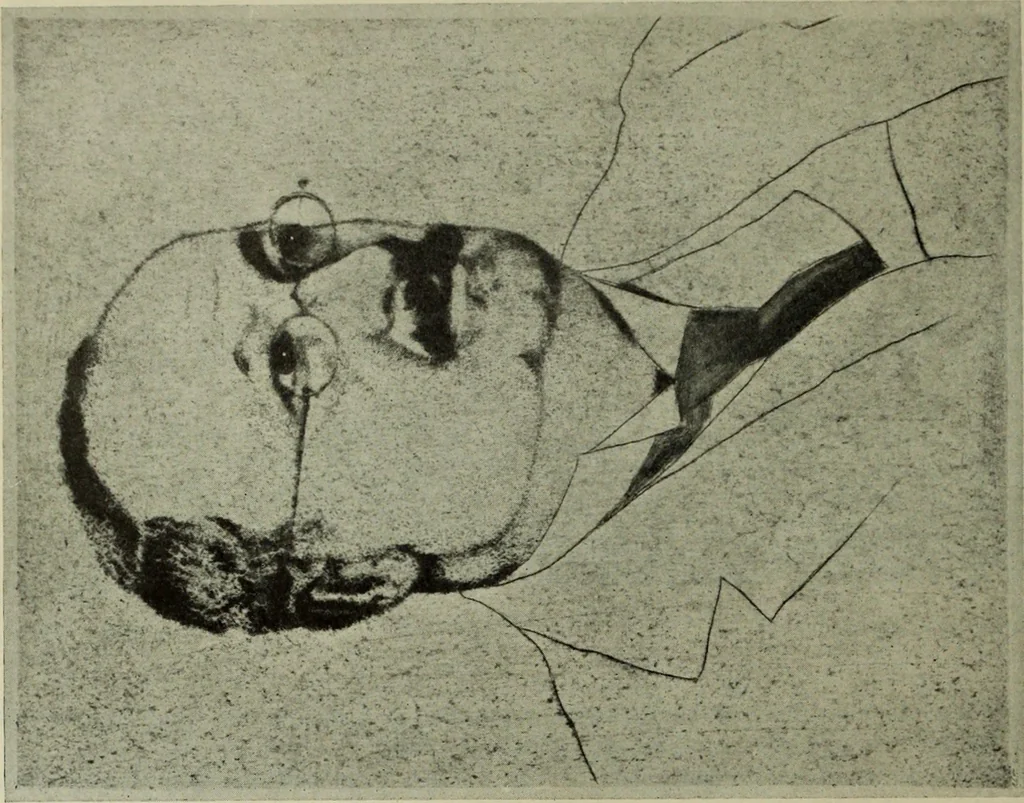 An illustration from International studio, 1897, leaf 387