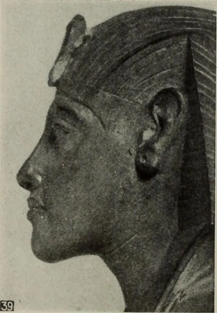 An illustration from International studio, 1897, leaf 124