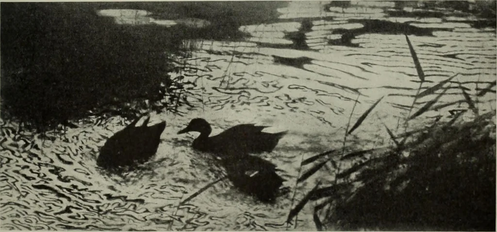 An illustration from International studio, 1897, leaf 167