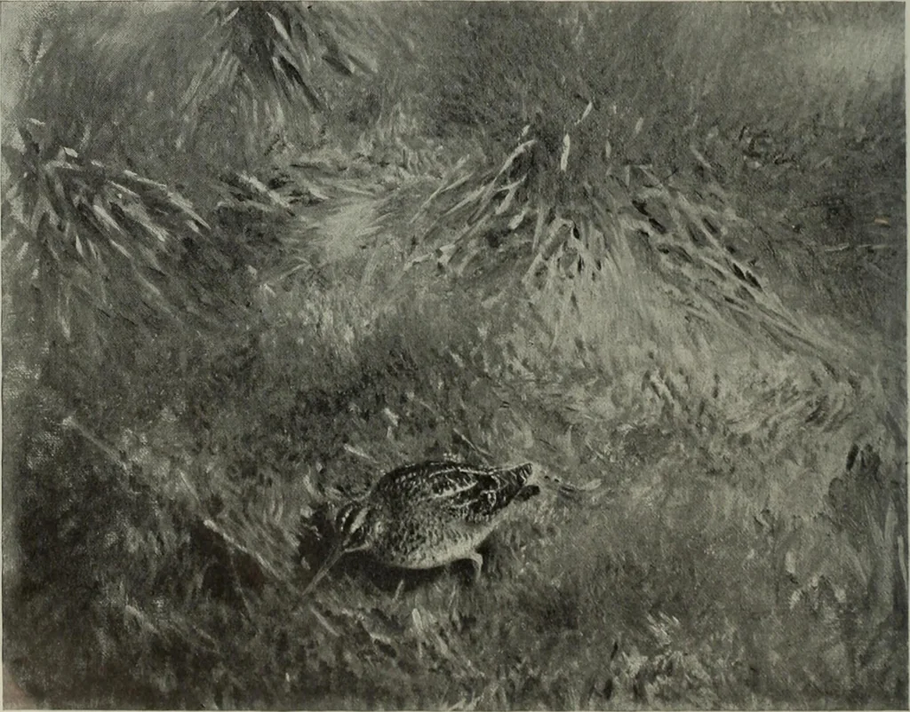 An illustration from International studio, 1897, leaf 172
