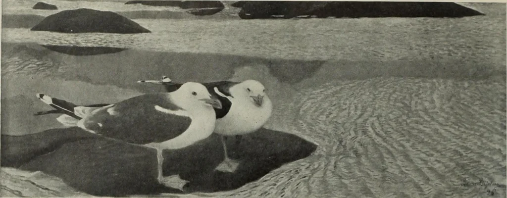 An illustration from International studio, 1897, leaf 174