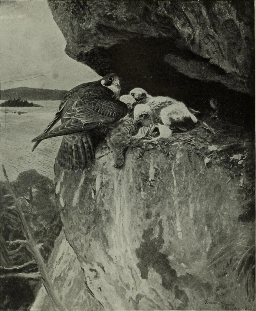 An illustration from International studio, 1897, leaf 175