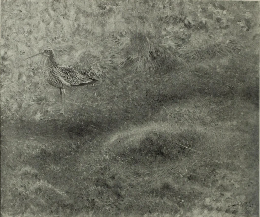 An illustration from International studio, 1897, leaf 176