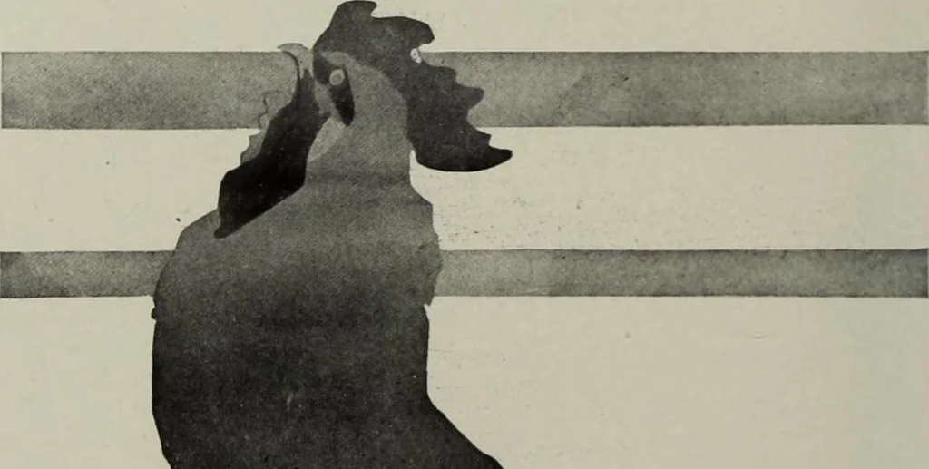 An illustration from International studio, 1897, leaf 224