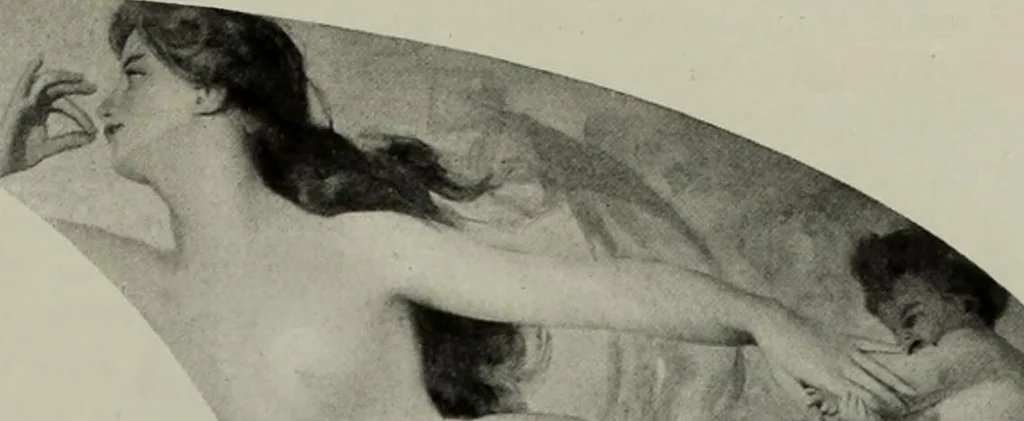 An illustration from International studio, 1897, leaf 251
