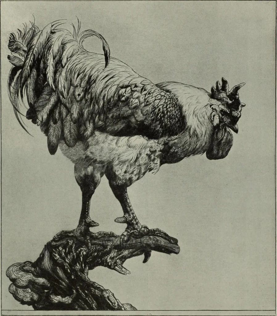 An illustration from International studio, 1897, leaf 383