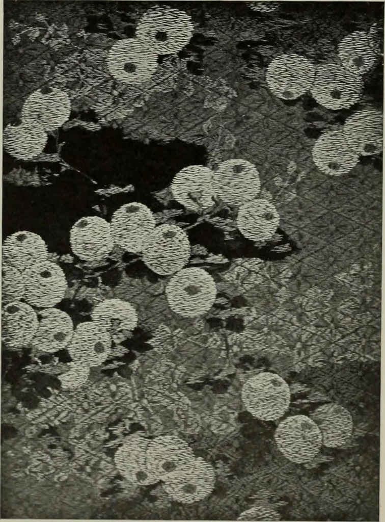 An illustration from International studio, 1897, leaf 65