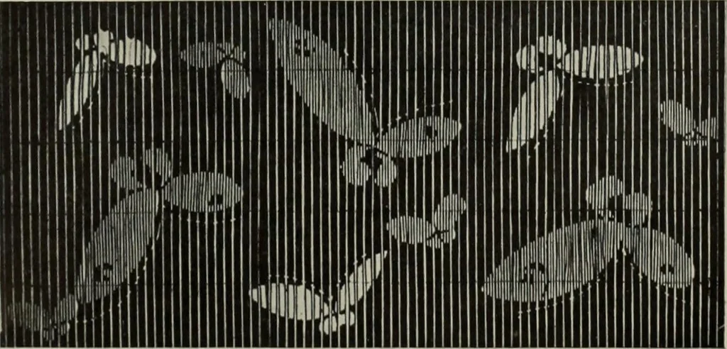 An illustration from International studio, 1897, leaf 77