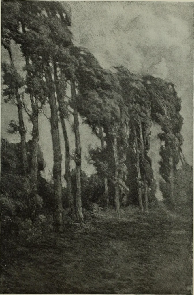 An illustration from International studio, 1897, leaf 95