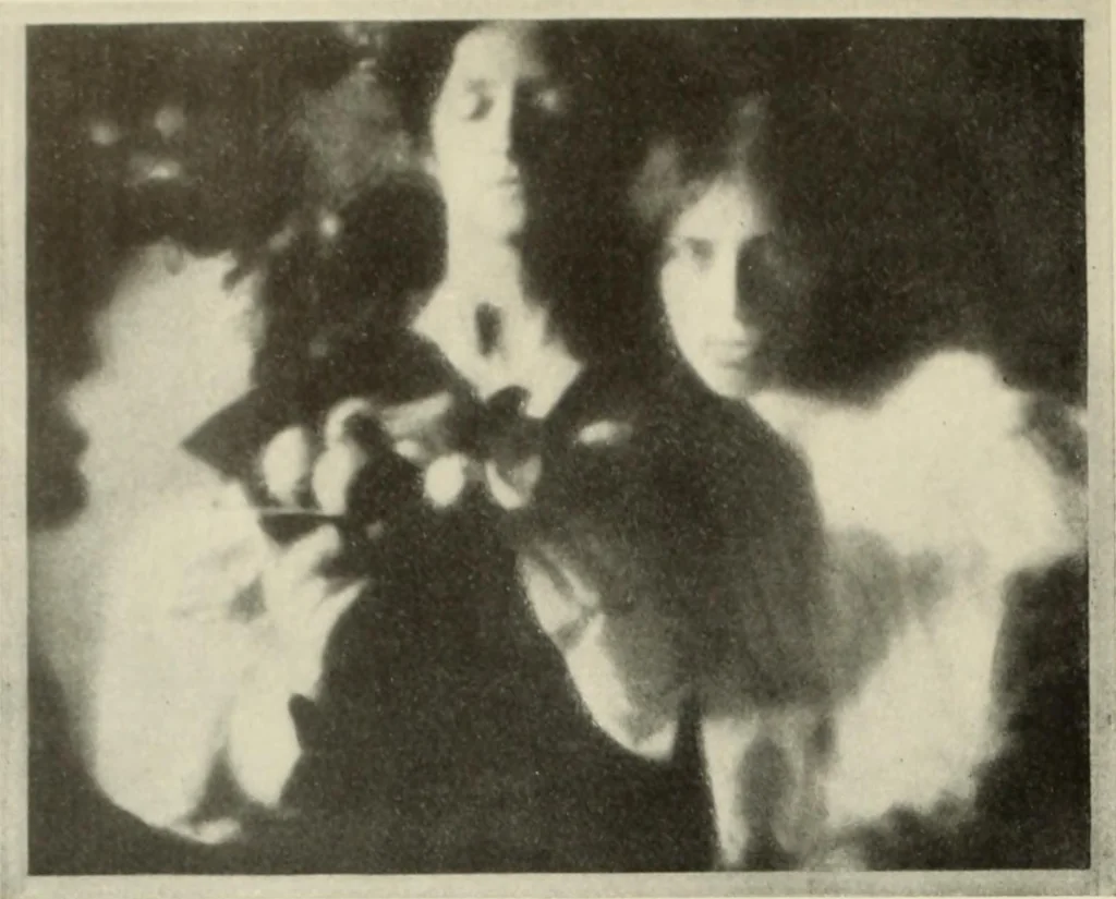 An illustration from International studio, 1897, leaf 113