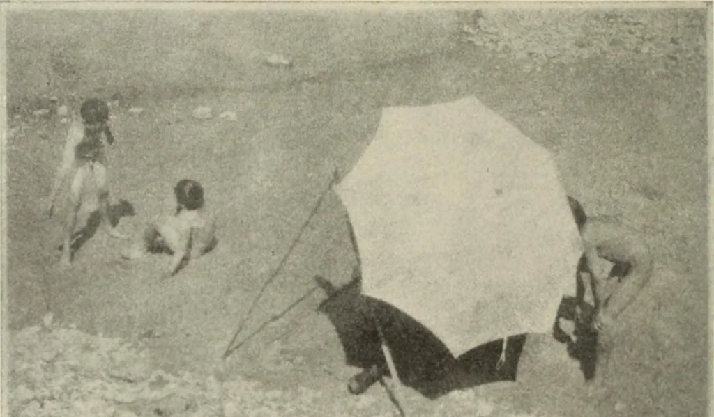 An illustration from International studio, 1897, leaf 113
