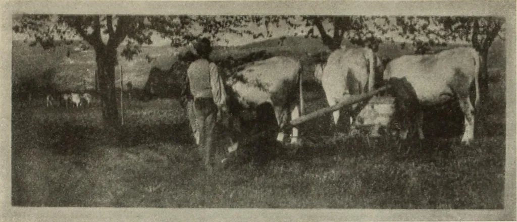 An illustration from International studio, 1897, leaf 114
