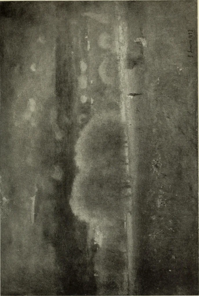 An illustration from International studio, 1897, leaf 228
