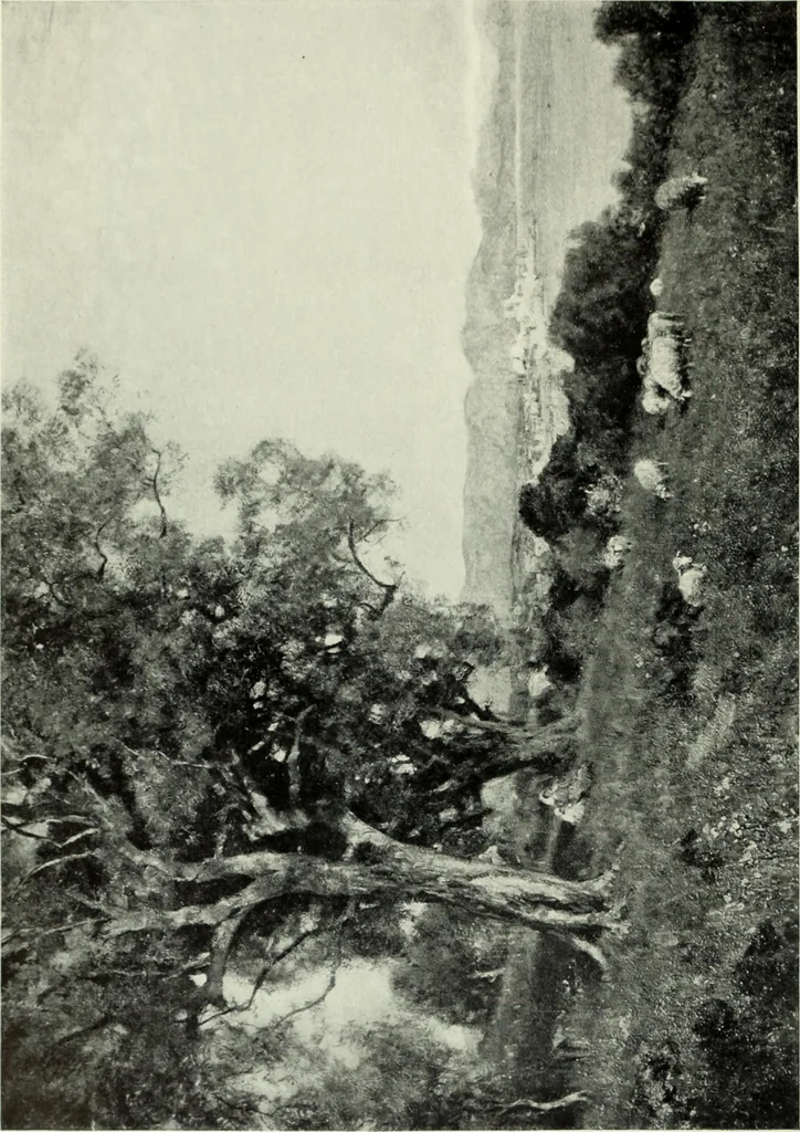 An illustration from International studio, 1897, leaf 251