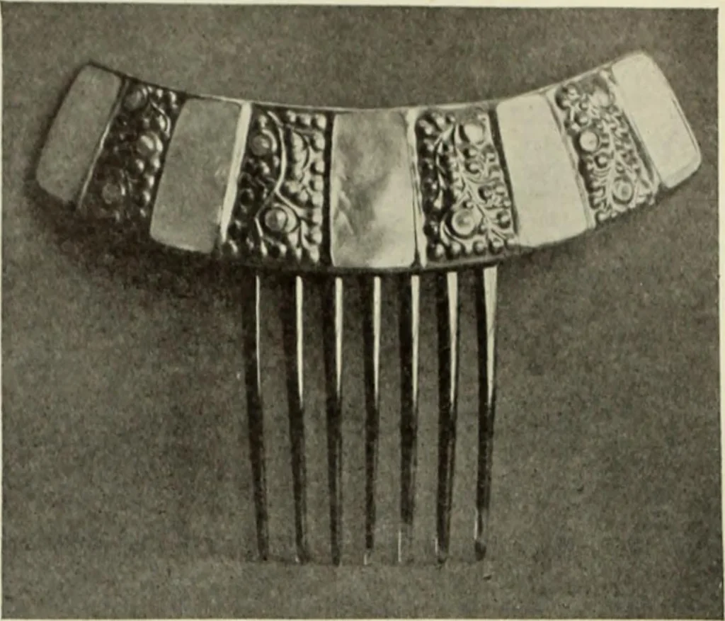 An illustration from International studio, 1897, leaf 267