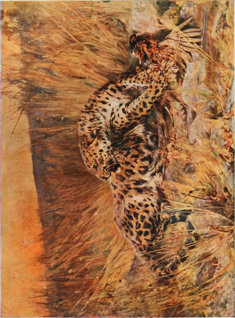 An illustration from International studio, 1897, leaf 274