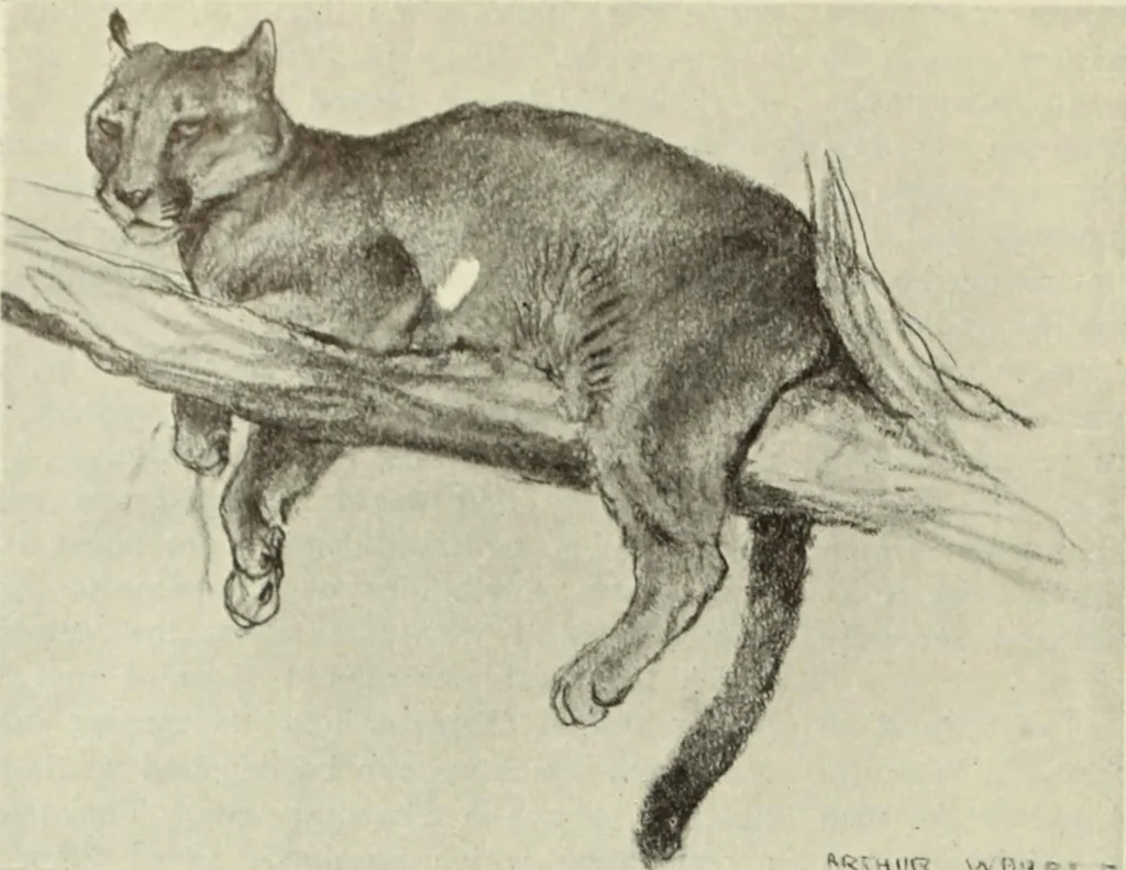An illustration from International studio, 1897, leaf 277