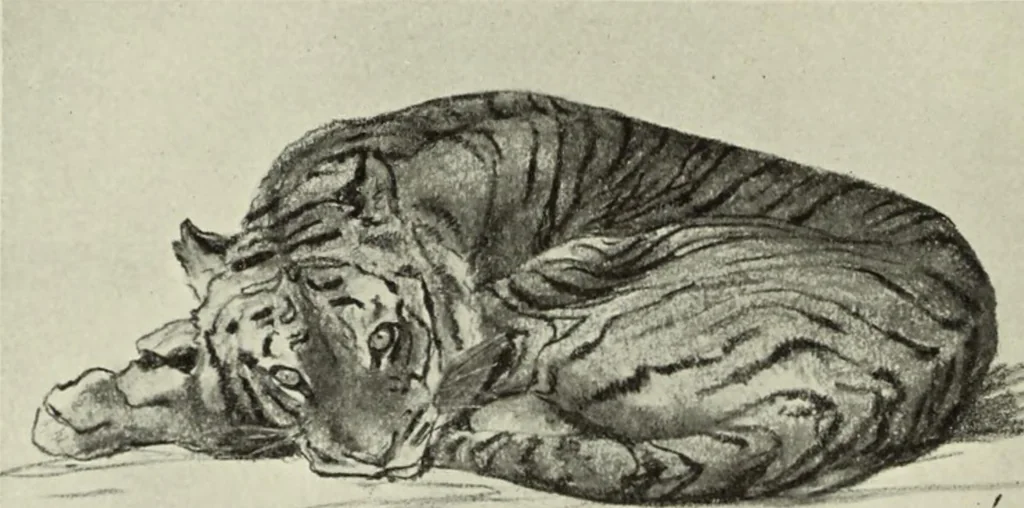 An illustration from International studio, 1897, leaf 277