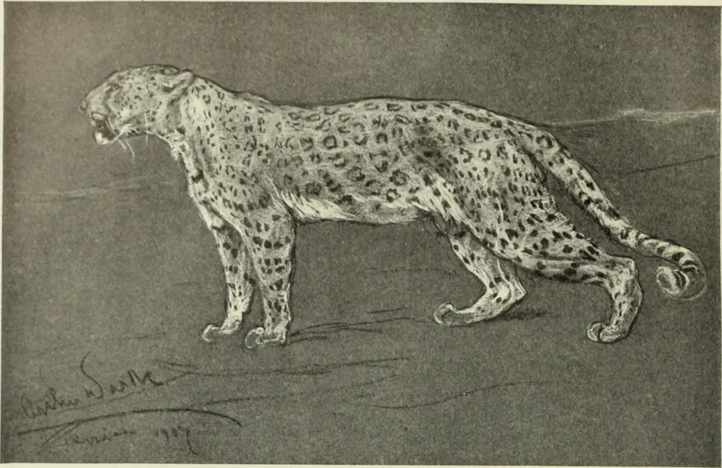 An illustration from International studio, 1897, leaf 279