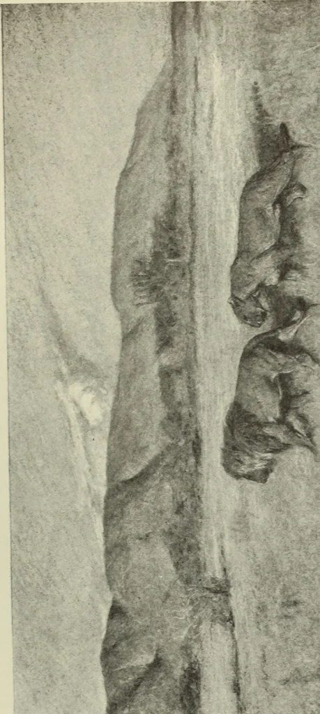 An illustration from International studio, 1897, leaf 282