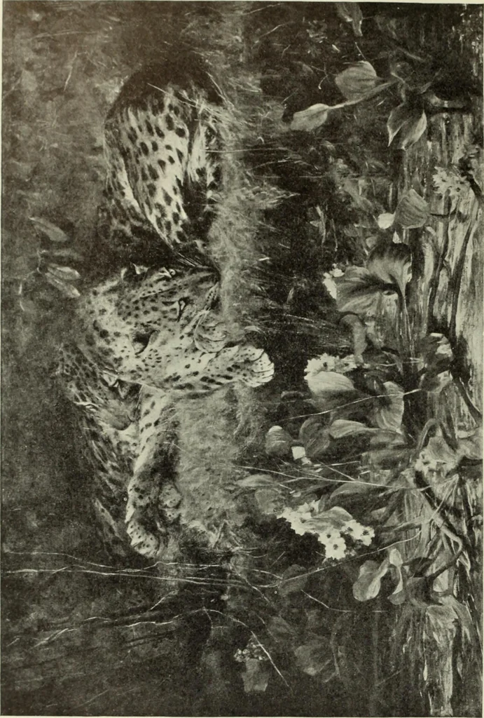 An illustration from International studio, 1897, leaf 283