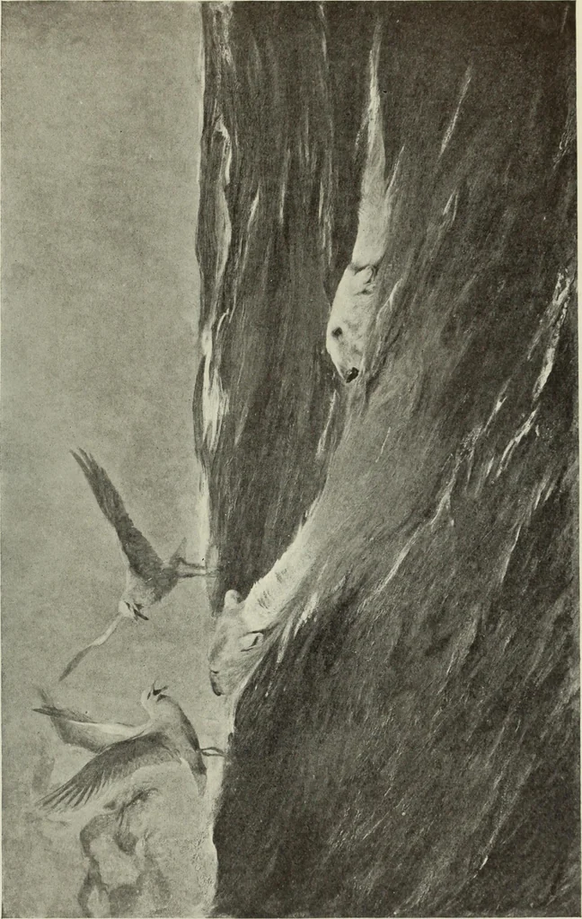 An illustration from International studio, 1897, leaf 284