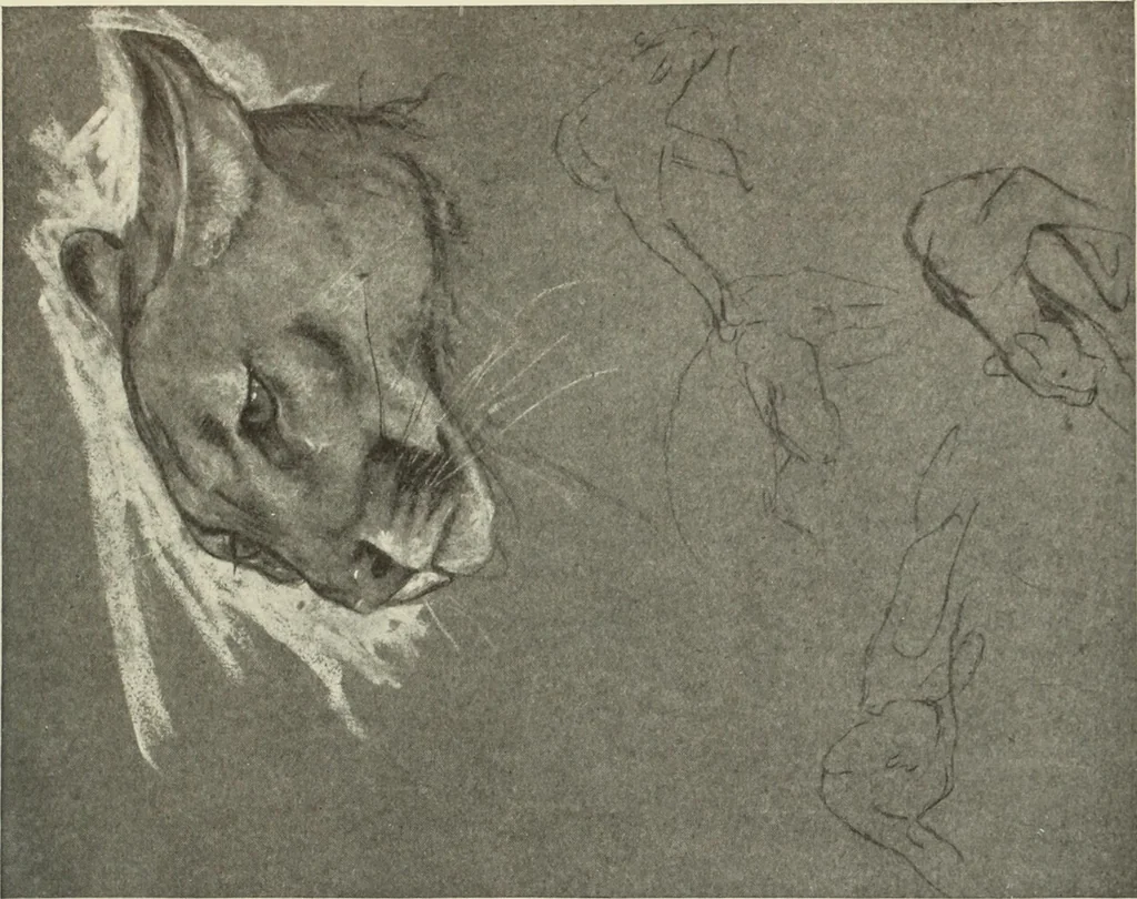 An illustration from International studio, 1897, leaf 288