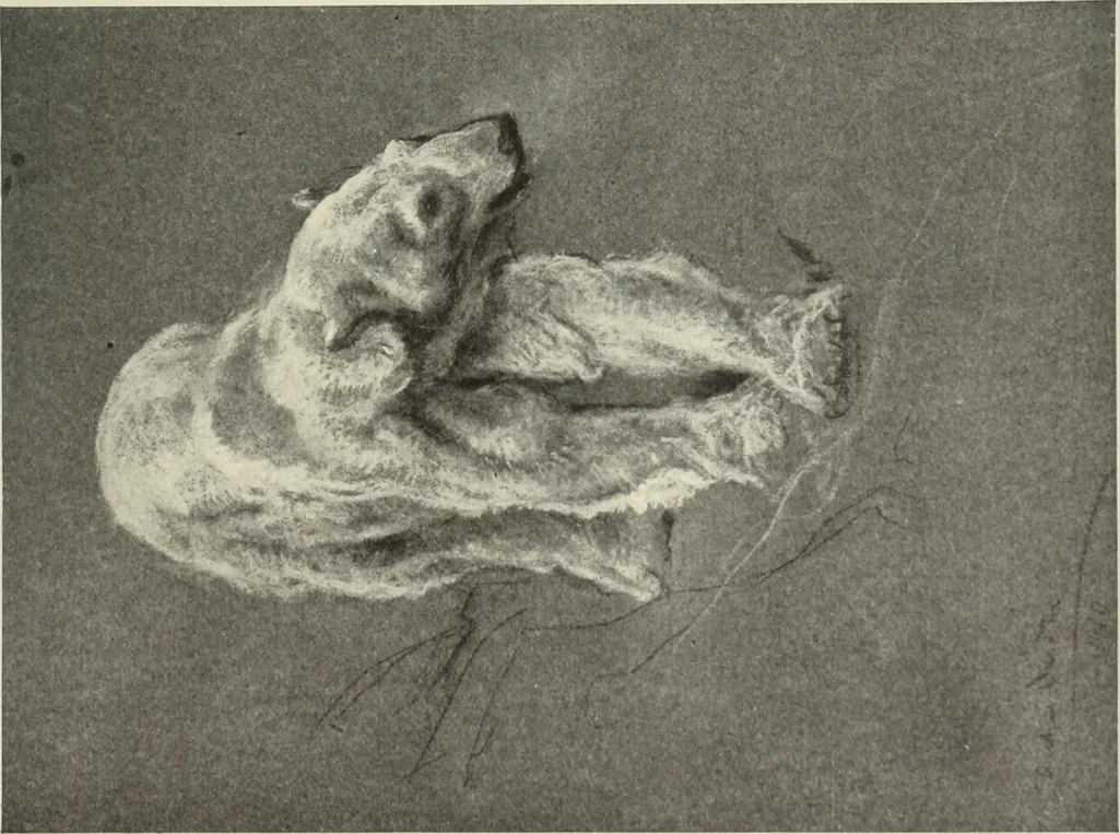 An illustration from International studio, 1897, leaf 288
