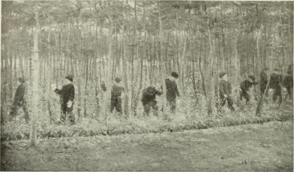 An illustration from International studio, 1897, leaf 311