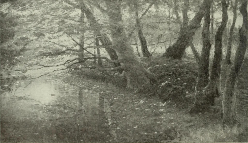 An illustration from International studio, 1897, leaf 311