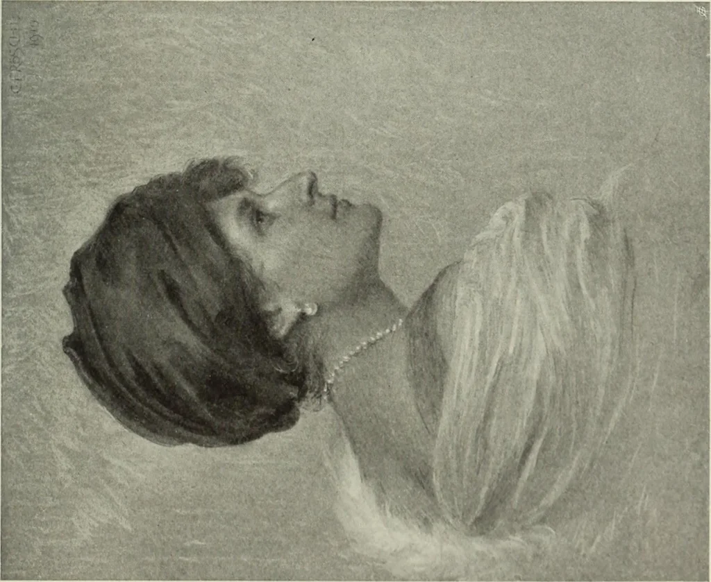 An illustration from International studio, 1897, leaf 316