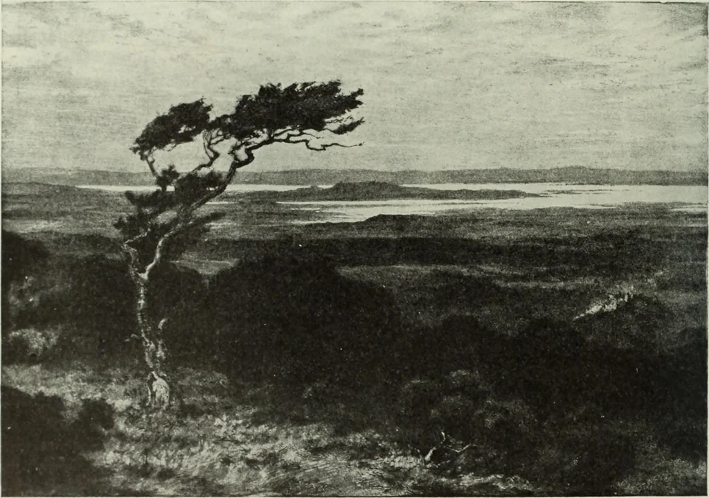 An illustration from International studio, 1897, leaf 383