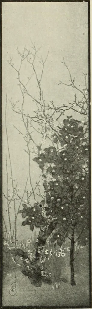 An illustration from International studio, 1897, leaf 402