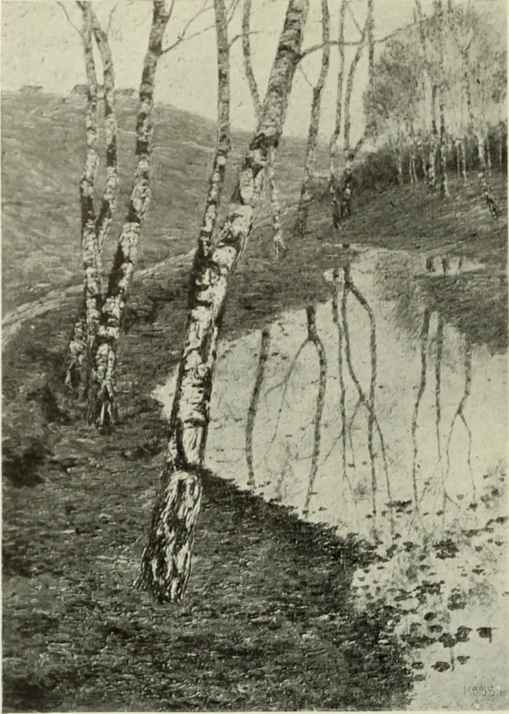 An illustration from International studio, 1897, leaf 431