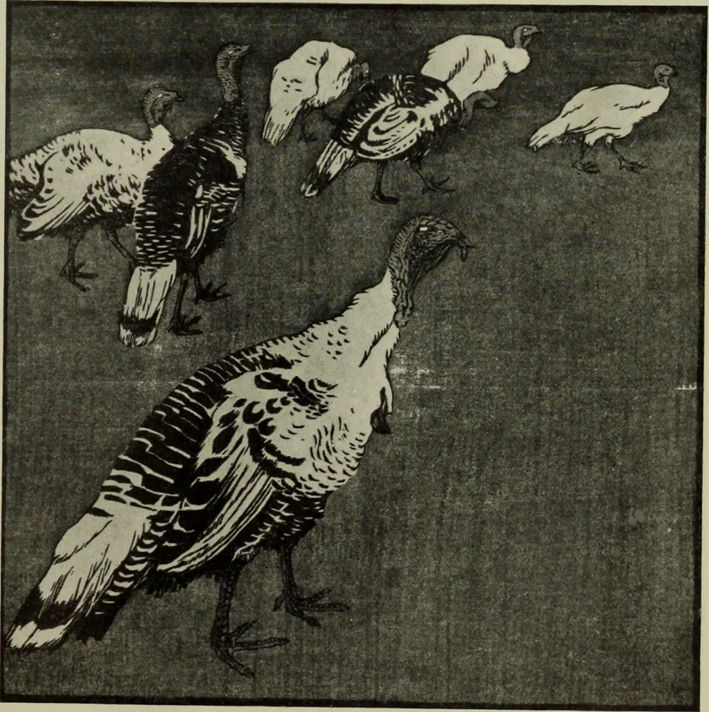 An illustration from International studio, 1897, leaf 140