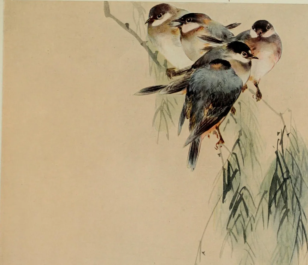 An illustration from International studio, 1897, leaf 158