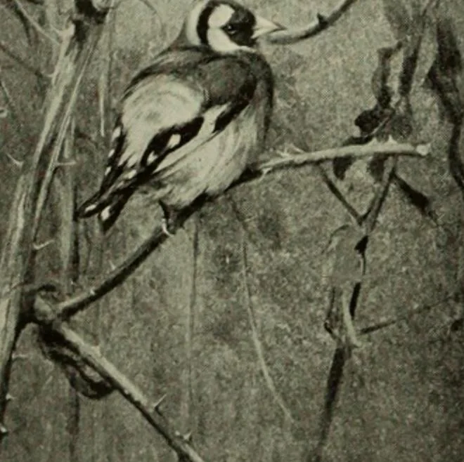 An illustration from International studio, 1897, leaf 179