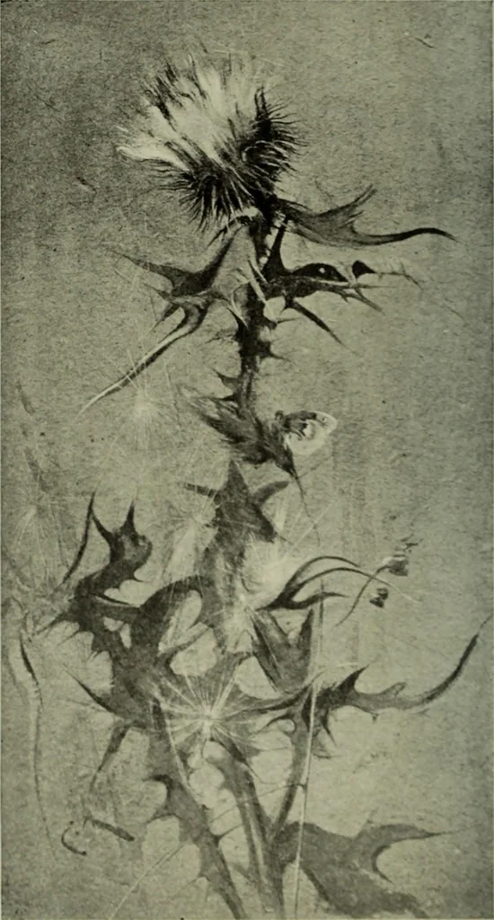 An illustration from International studio, 1897, leaf 179
