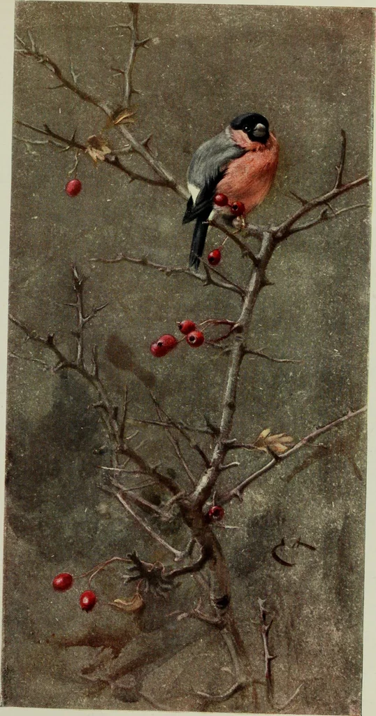 An illustration from International studio, 1897, leaf 180
