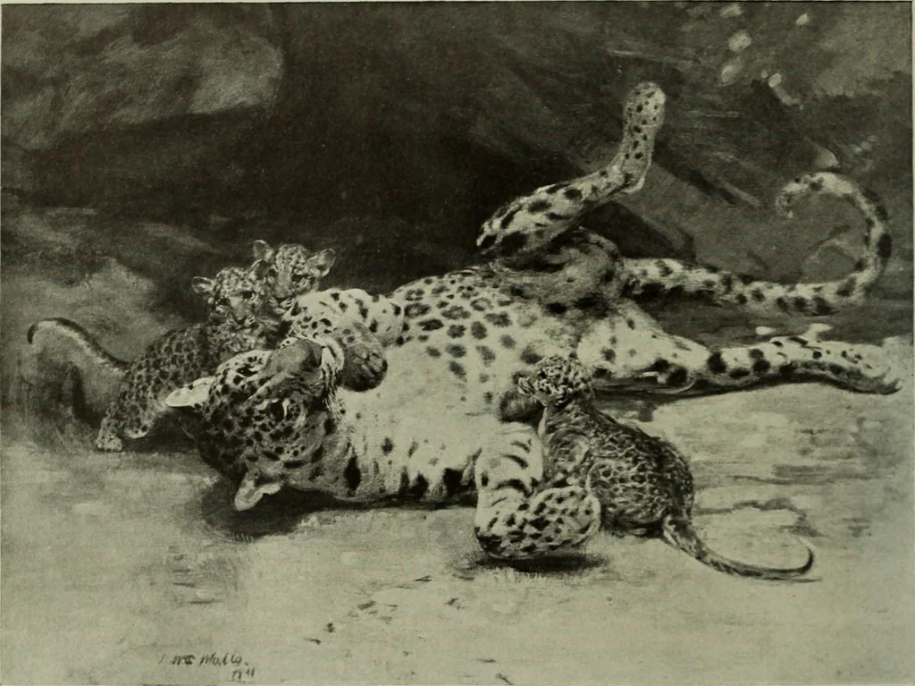 An illustration from International studio, 1897, leaf 235