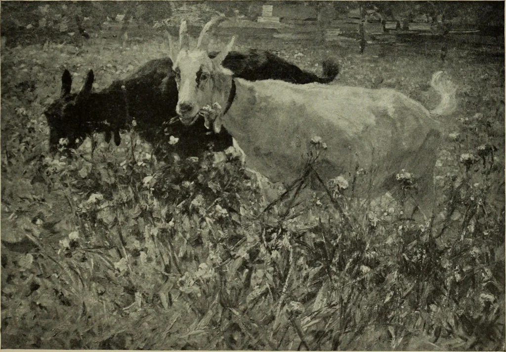 An illustration from International studio, 1897, leaf 246