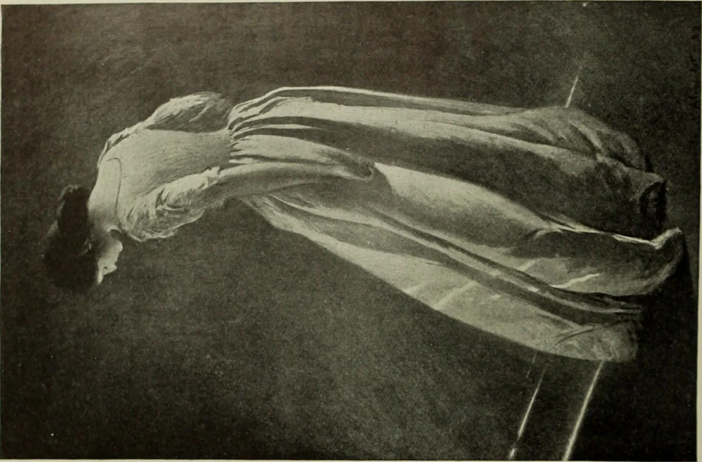 An illustration from International studio, 1897, leaf 251
