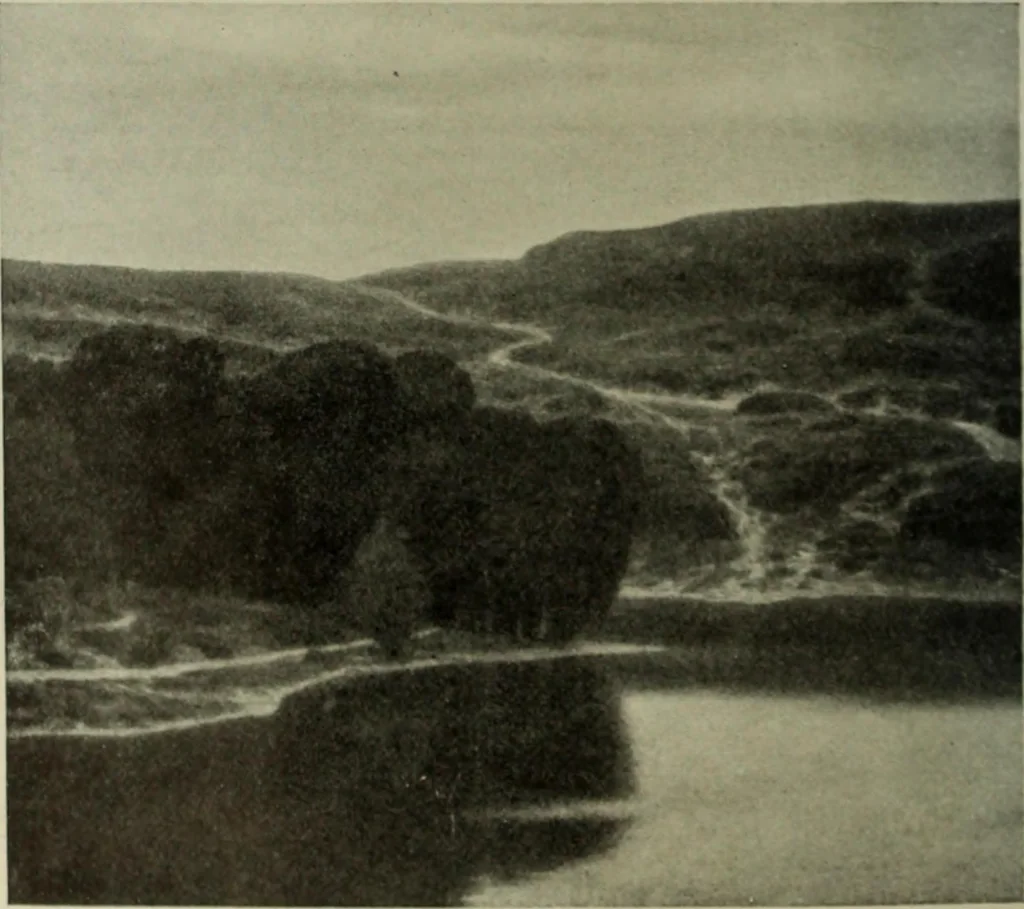 An illustration from International studio, 1897, leaf 271