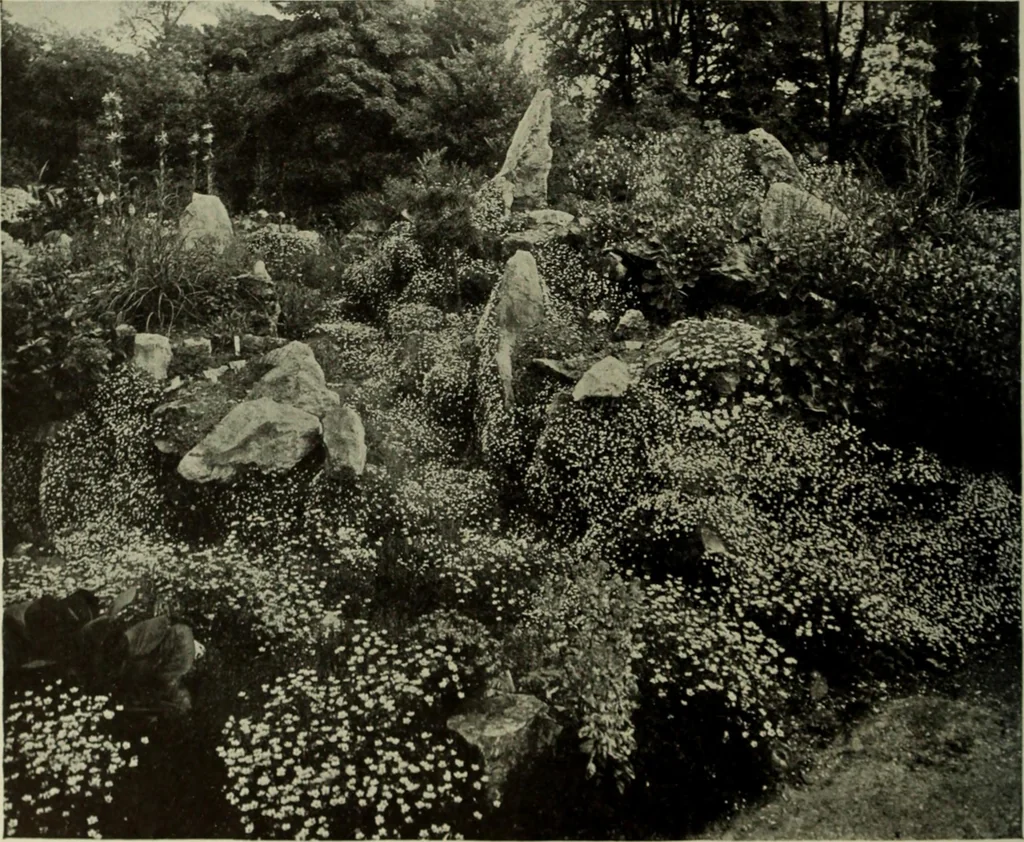 An illustration from International studio, 1897, leaf 293
