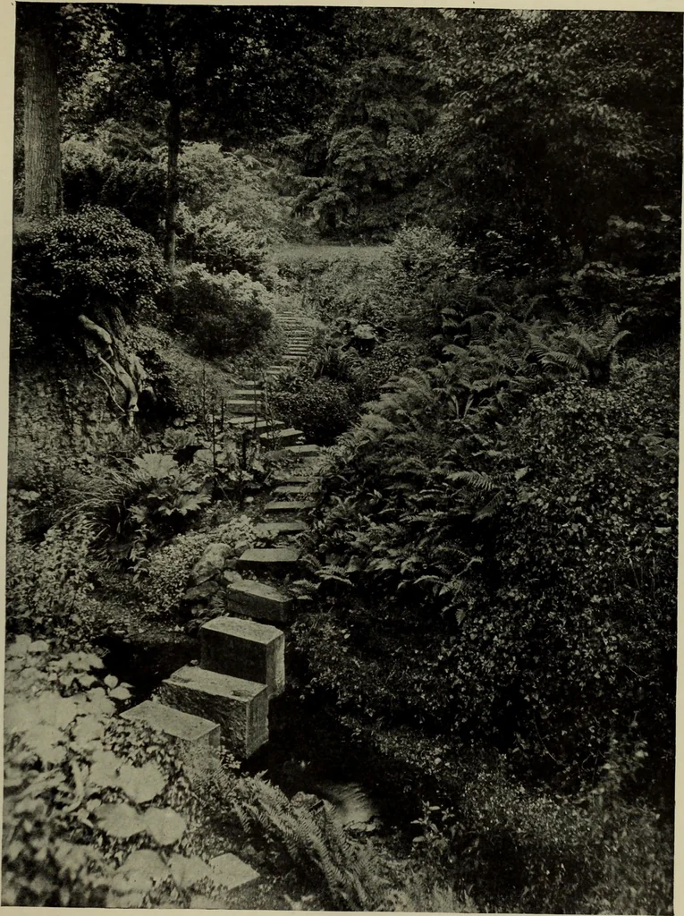 An illustration from International studio, 1897, leaf 294