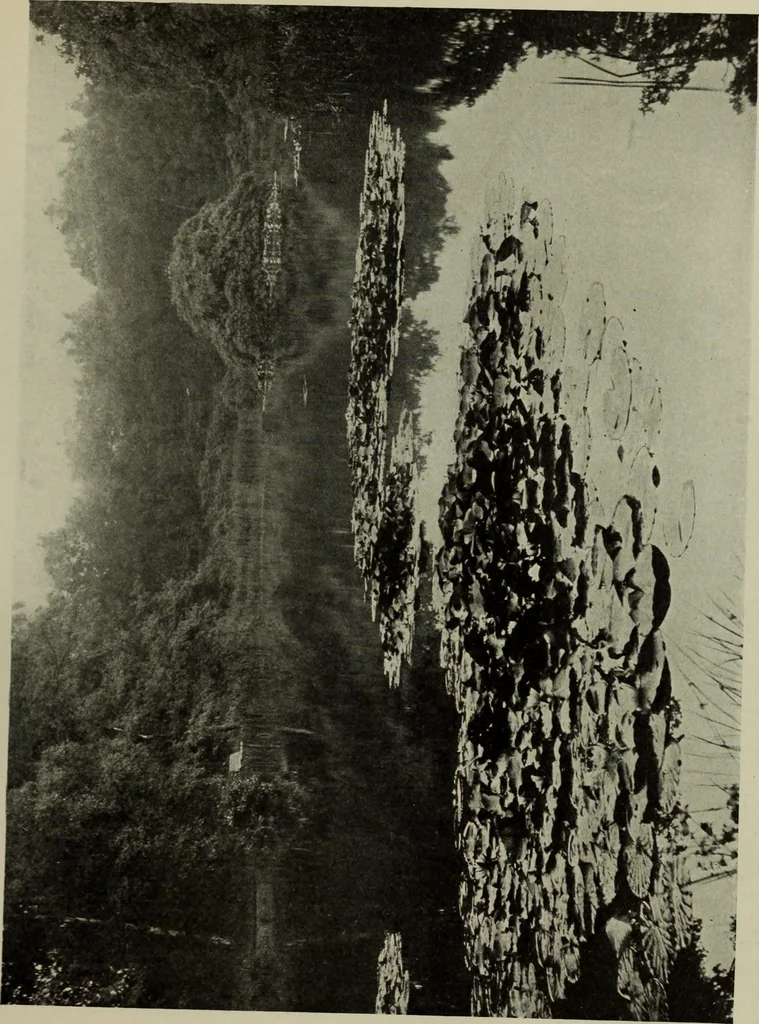 An illustration from International studio, 1897, leaf 296